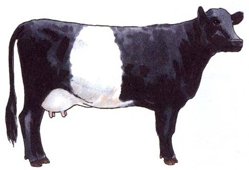 Lakenvelder; Mother Earth News graphic