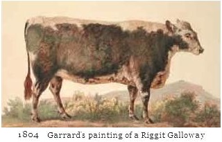 Riggit Galloway